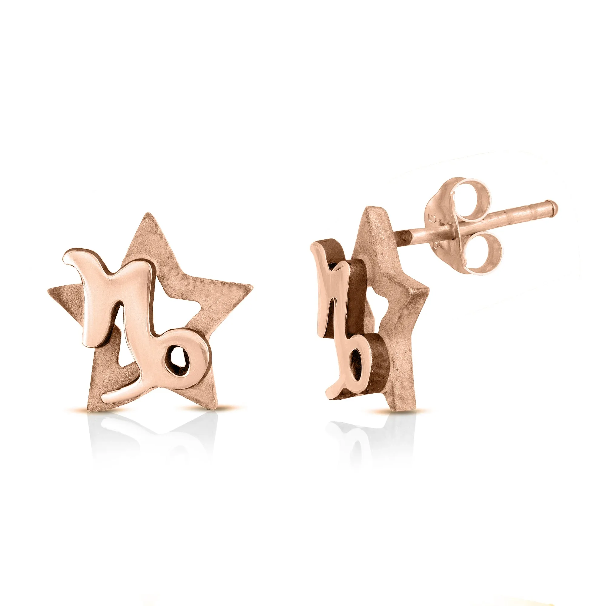 Capricorn Earrings